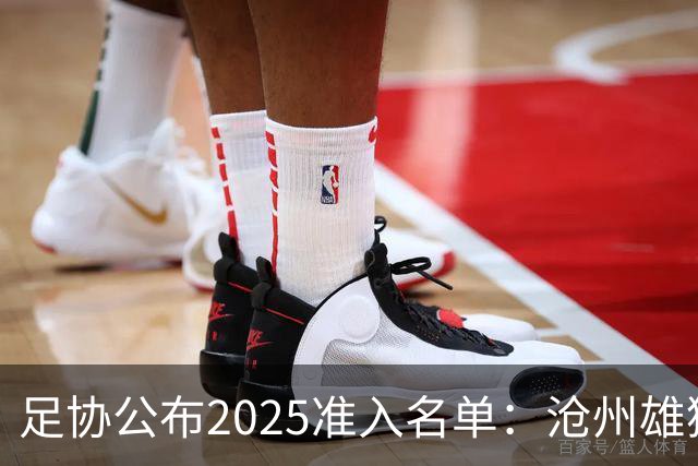 足协公布2025准入名单：沧州雄狮、广州队无缘